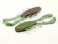 3.5 Crawbug 8pk Swamp Thing